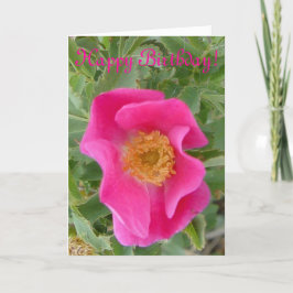 F4a Wilde Roos Kaart