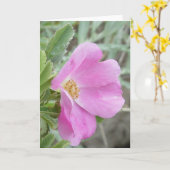 F4b Wilde Roos Kaart (Gele Bloem)