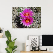 F5 Bal Cactus Bloem "Escobaria vivipara" Poster (Thuiskantoor)