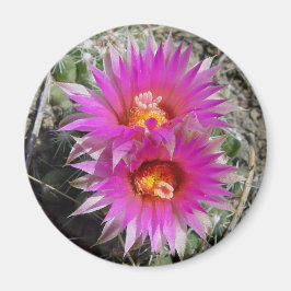 F5 Bal Cactus Bloemen "Escobaria vivipara" Magneet