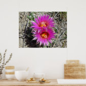 F5 Ball Cactus Flower "Escobaria vivipara" Poster (Keuken)