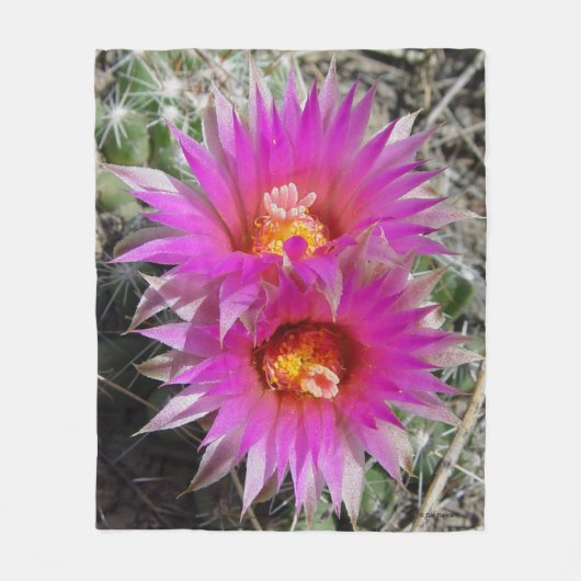 F5 Ball Cactus Flowers "Escobaria vivipara" Fleece Deken (Voorkant)