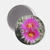 F5 Ball Cactus Flowers "Escobaria vivipara" Magneet (Voorkant / Achterkant)