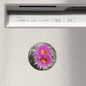 F5 Ball Cactus Flowers "Escobaria vivipara" Magneet (Insitu (Vaatwasser))