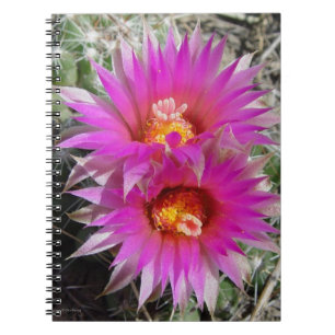 F5 Ball Cactus Flowers "Escobaria vivipara" Notitieboek