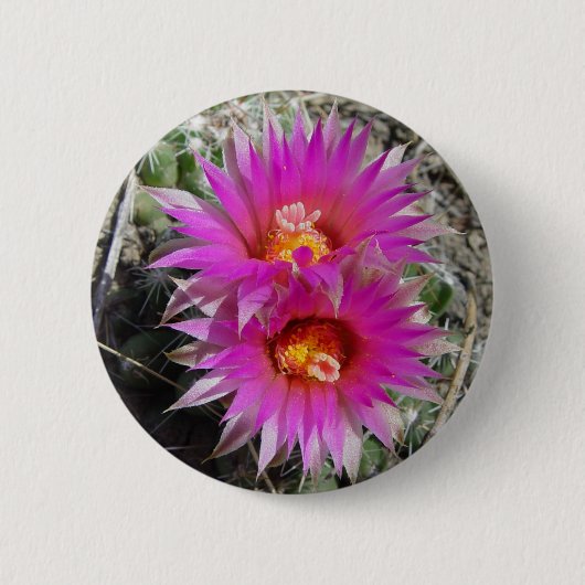 F5 Ball Cactus Flowers "Escobaria vivipara" Ronde Button 5,7 Cm (Voorkant)