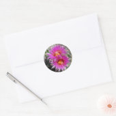 F5 Ball Cactus Flowers "Escobaria vivipara" Ronde Sticker (Envelop)