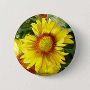 F6 Gele wilde bloem Gaillardia Ronde Button 5,7 Cm