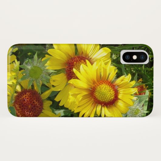 F6 Gele wilde bloemen Gaillardia Case-Mate iPhone Case (Achterkant (horizontaal))
