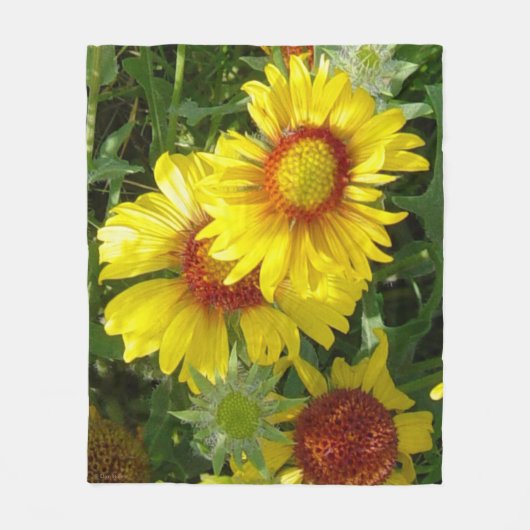 F6 Gele wilde bloemen Gaillardia Fleece Deken (Voorkant)