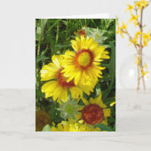 F6 Gele wilde bloemen Gaillardia Kaart (Gele Bloem)