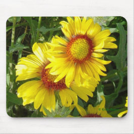 F6 Gele wilde bloemen Gaillardia Muismat