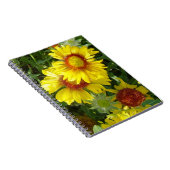 F6 Gele Wilde Bloemen Gaillardia Notitieboek (Rechterzijde)