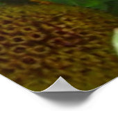 F6 Gele wilde bloemen Gaillardia Poster (Hoek)