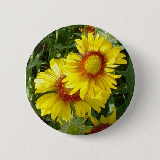 F6 Gele wilde bloemen Gaillardia Ronde Button 5,7 Cm (Voorkant)