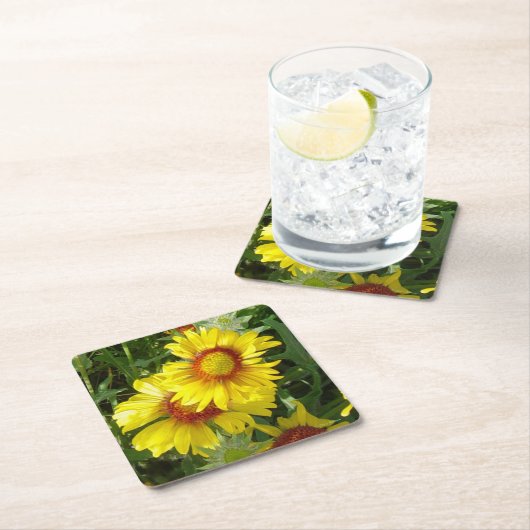 F6 Gele wilde bloemen Kartonnen Onderzetters (Insitu)