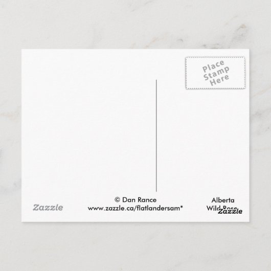 F7 Alberta Wild Roos Briefkaart (Achterkant)