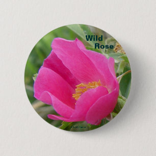 F7 Alberta Wilde Roos Ronde Button 5,7 Cm