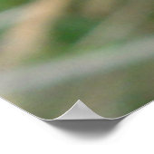 F7 Wild Roos Bright roze bloesem Poster (Hoek)