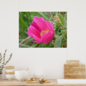 F7 Wild Roos Bright roze bloesem Poster (Keuken)