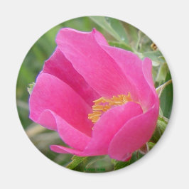 F7 Wilde Roos Magneet