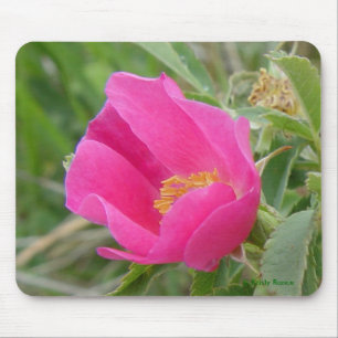 F7 Wilde Roos Muismat