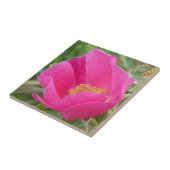 F7 Wilde Roos Tegeltje (Zijkant)