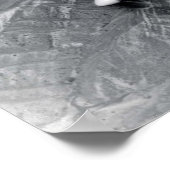 F82 Twin Mustang Poster (Hoek)