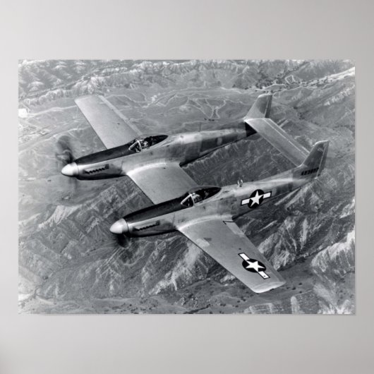 F82 Twin Mustang Poster (Voorkant)
