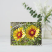 F8 Gele wilde bloem Gaillardia Briefkaart (Staand voorkant)