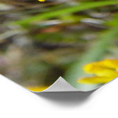 F8 Gele wilde bloem Gaillardia Poster (Hoek)