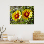 F8 Gele wilde bloem Gaillardia Poster (Keuken)