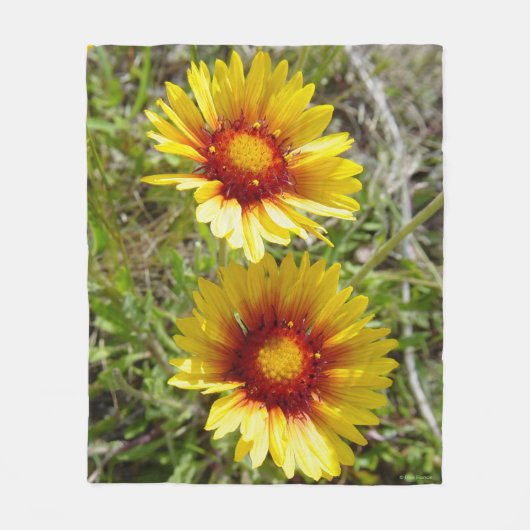 F8 Gele wilde bloemen Gaillardia Fleece Deken (Voorkant)
