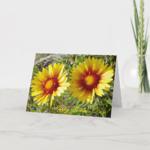 F8 Gele Wilde Bloemen Gaillardia Kaart
