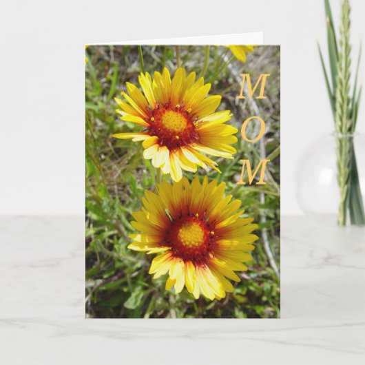 F8 Gele wilde bloemen Gaillardia Kaart (Voorkant)
