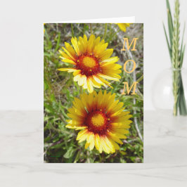 F8 Gele wilde bloemen Gaillardia Kaart