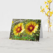 F8 Gele wilde bloemen Gaillardia Kaart (Gele Bloem)