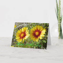 F8 Gele wilde bloemen Gaillardia Kaart