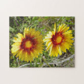 F8 Gele Wilde Bloemen Gaillardia Legpuzzel (Horizontaal)