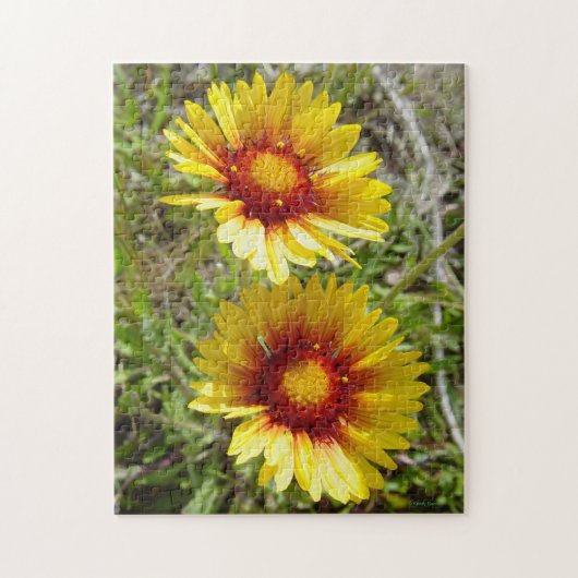 F8 Gele Wilde Bloemen Gaillardia Legpuzzel (Verticaal)