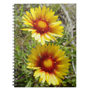 F8 Gele Wilde Bloemen Gaillardia Notitieboek