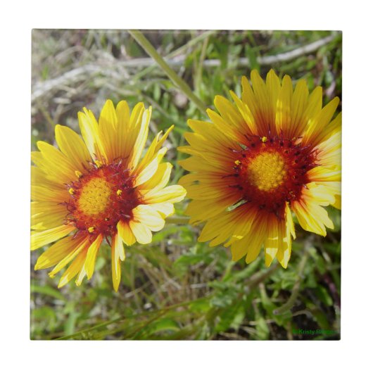 F8 Gele wilde bloemen Gaillardia Tegeltje (Voorkant)