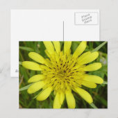 F9 Gele Wilde Bloem Geitebaard Briefkaart (Voorkant / Achterkant)