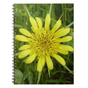 F9 Gele Wilde Bloem Geitebaard Tragopogon dubius Notitieboek