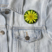F9 Gele Wilde Bloem Geitebaard Tragopogon dubius Ronde Button 5,7 Cm (In situ)