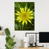 F9 Gele Wilde Bloem Geitenbaard Poster (Thuiskantoor)