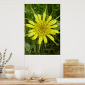 F9 Gele Wilde Bloem Geitenbaard Poster (Keuken)