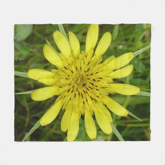 F9 Gele wilde-bloemgeiten Fleece Deken (Voorkant (Horizontaal))