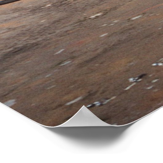 F-111 Aardvark Poster (Hoek)