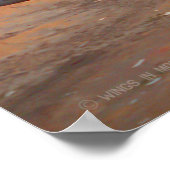 F-111F AARDVARK POSTER (Hoek)